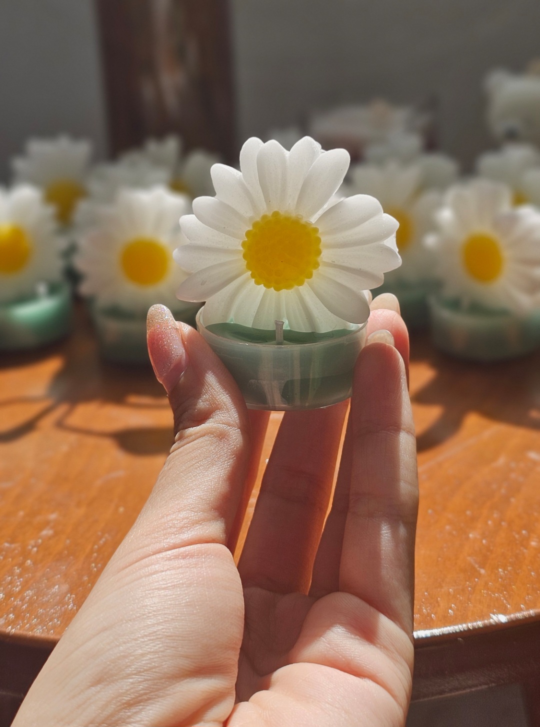 گیفت دستسازبابونه ۵عددی